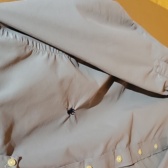 Button Down - Picture 3 of 3